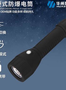 BAD206轻便式防爆手电筒免维护防水防爆阻燃手电筒直销