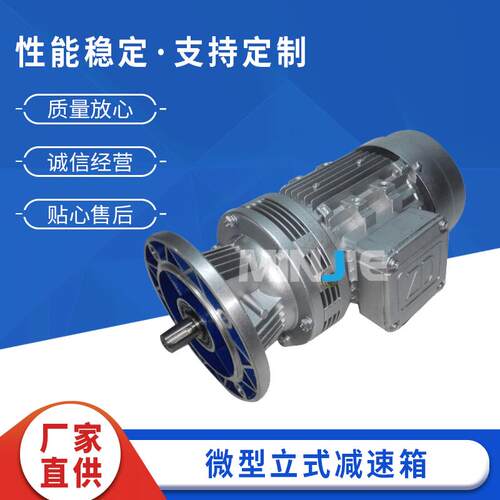 WB系列微型摆线针轮减速机WB100小型减速机微型立式减速箱银色