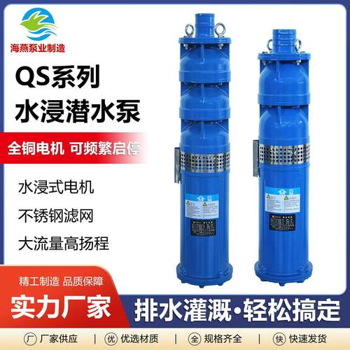 QS系列潜水泵小区增压泵景观铸铁喷泉农田灌溉水浸电泵