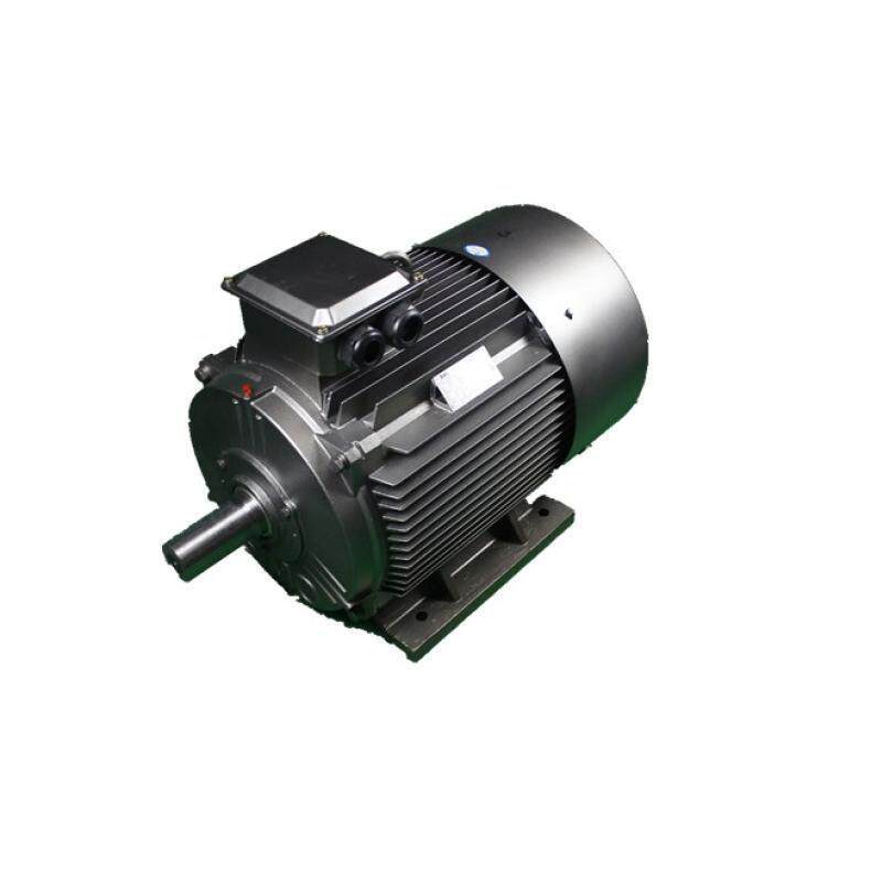 鸿泰永磁磁阻式同步电机TCYP5-180L-6t15KWt380V工作制S1损耗低