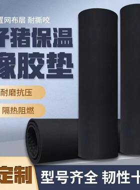 仔猪橡胶保温垫加厚小猪取暖垫子母猪产床用保育箱兽用防水橡胶垫