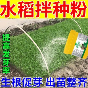 水稻拌种剂催芽快猛发芽育苗生根壮苗专用种衣剂稻种浸种包衣剂