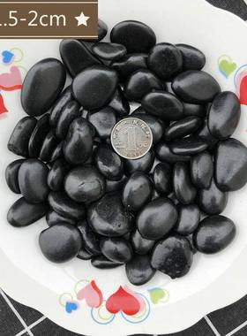 花小号黑色抛光鹅卵石天雨石石头鱼缸配饰然奇石CHF天然石石石材