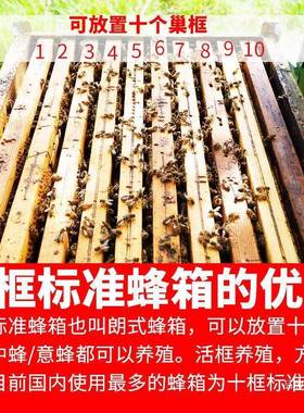 蜂箱煮蜡蜂箱蜂中标准箱烘干蜜DCS蜂箱标准杉木蜂大哥蜂箱全套包