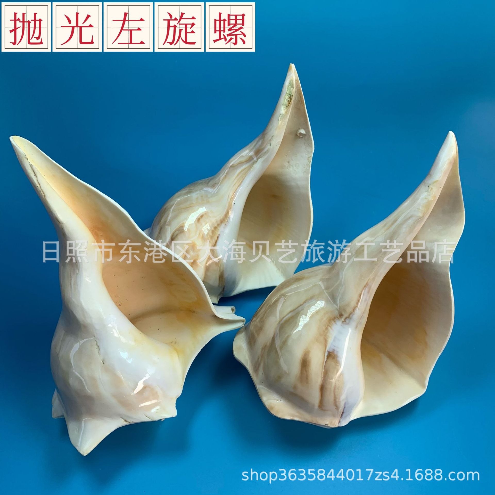 抛光左旋螺密宗法器鱼缸造景