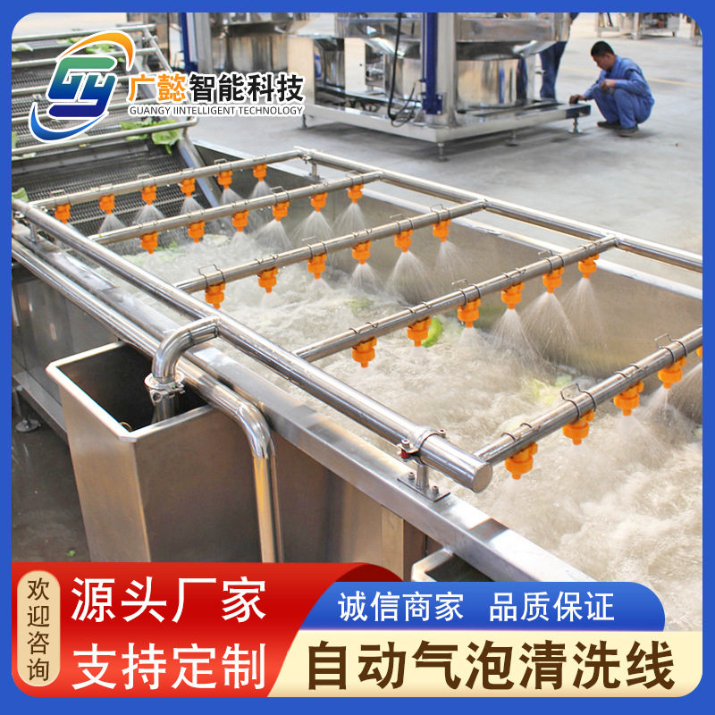 供应果蔬清洗机 全自动大枣翻滚气泡清洗机 黄桃柑橘清洗流水线