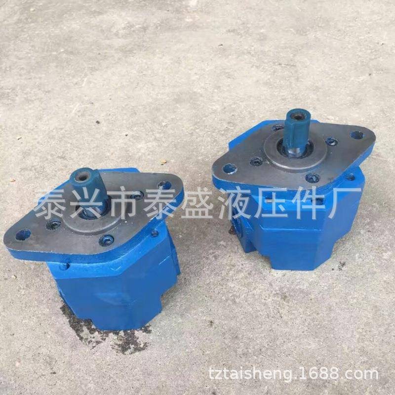 BB-B6NJZ-1/B25NJWFJZ-1摆线齿轮泵电机1BB-B32N/B20/B4油0NJZ-1