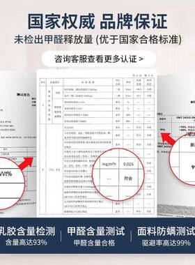 席梦思弹簧床垫用经济HPZ型软硬两2cm厚1.5米01.8棕m乳胶椰家用天