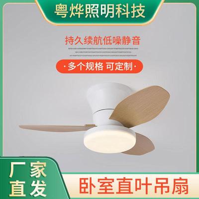 家用现代北欧吊扇灯适合客厅餐厅卧室吸顶风扇吊灯小尺寸吊扇灯