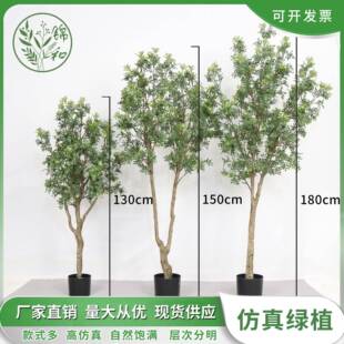 高端仿真九里香树大型落地装饰绿植盆栽室内家居摆件橱窗植物盆景