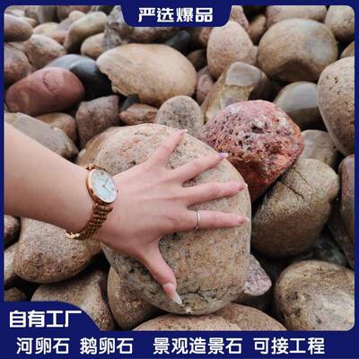 河卵石10-20公分鹅卵石滤料园林造景工程铺路用河滩石天然鹅卵石