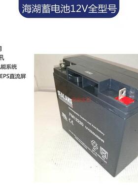 FM12170C海湖风力发电专用蓄电池12V17AH邮电通信系统