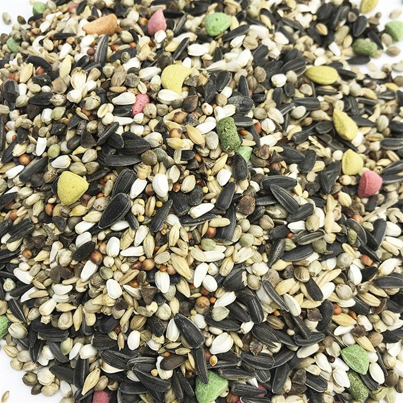 皮皮儿包邮小的太阳混合粮食 谷粮鸟食鹦鹉饲料天然谷物鸟粮1200g,宠物/宠物食品及用品,鸟零食,淘宝优惠券,粉丝福利购,淘宝优惠卷