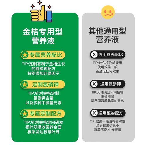 金桔树专用肥料营养液金橘树苗绿植室内通用液体肥改善黄叶促结果