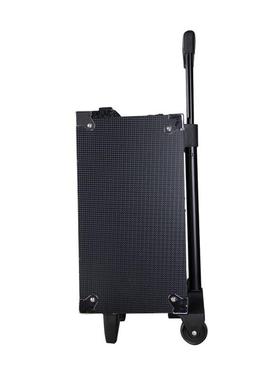 233621 B700A特美声红日B700AK8-2T户外音响锂电池1广场舞便拉杆