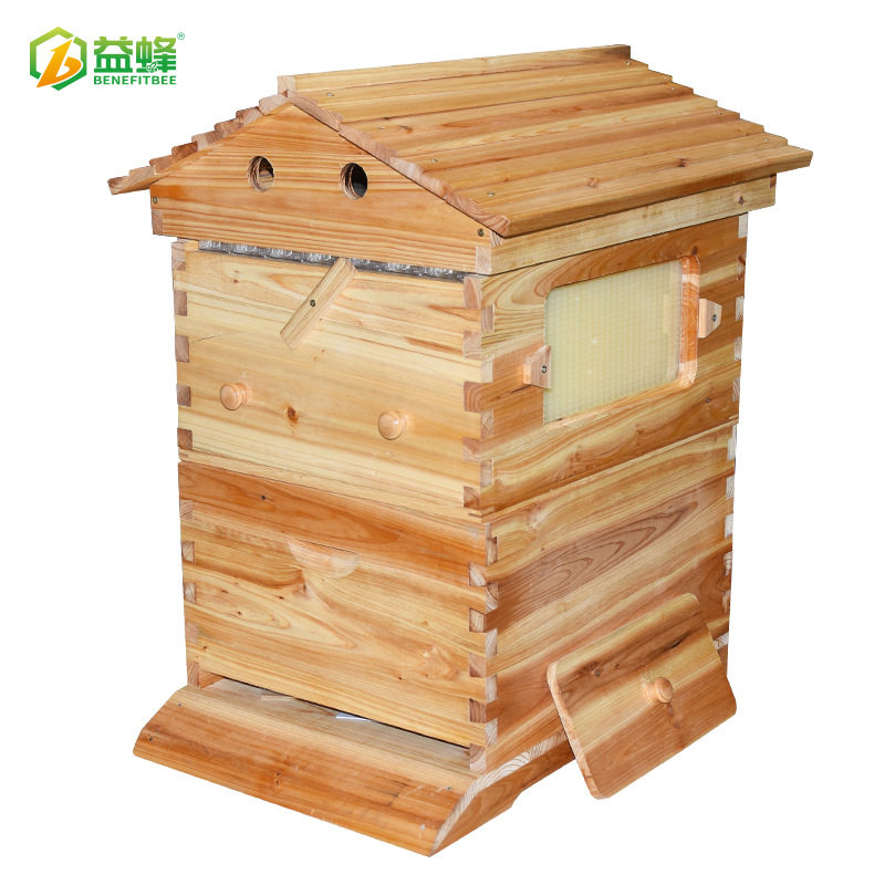 全自动自流蜜蜂箱蜂巢全套批发