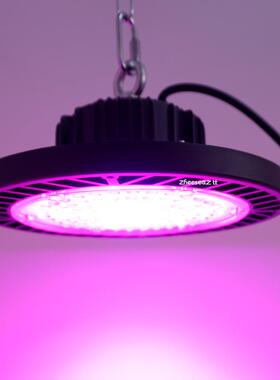 全谱大棚专用植物补光光灯LDVF莓ED红蓝草樱光桃葡萄育苗生长灯