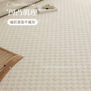 帽式奶油风客厅地毯防水防污可擦洗休闲沙发奢毯高法端YX759486轻
