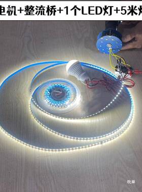 低速MOP风力水力盘式有0铁芯发电机12V2V48V6V72V强磁伏直流电4手