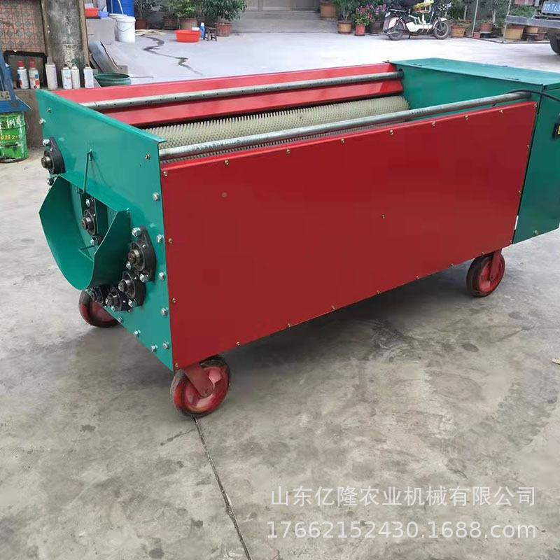 新鲜核桃洗脱皮薄机YL-BKJ核桃皮清脱机皮核桃破壳机