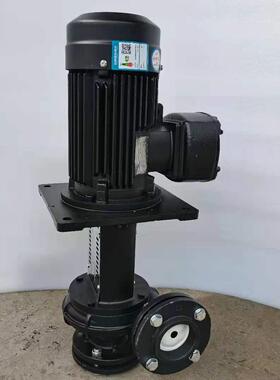 惠沃涂装XSA设备液德下泵立式铸铁工D业流程X水循环离心泵W850-10