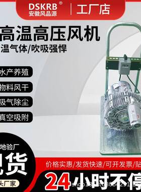 移动式真机纺空打包RGQ纺织抽真空打包真压空吸附高漩涡气泵