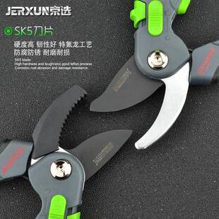 京修枝剪花剪园剪刀剪枝用修剪树艺枝选摘菜果树京选日式枝剪花艺