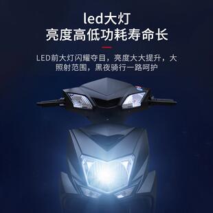 力神长跑电动车厂家尚领踏板电瓶大车外卖动摩托车DLS1200D电可上