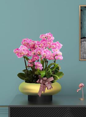 40cm口径纳米金蝴蝶兰铁艺花盆花器金属银柳盆器仿真花新中式摆件