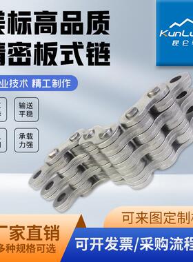 10吨叉车链条LH2434/BL1234LH2444/BL1244重载型板链立体车库专