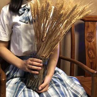 天然麦穗乾燥花花束开业大麦花篮客厅田园风装饰摆件乾燥花插花道