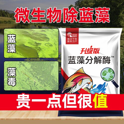 蓝藻分解酶除蓝藻分解素速灭鱼虾塘水产养殖除藻剂生物蓝藻一泼净