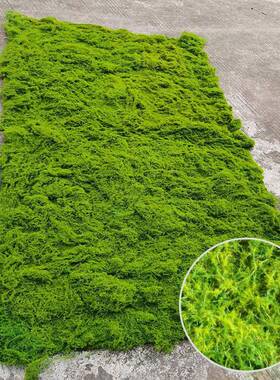 青苔加厚仿真假苔藓曲丝绿色植物橱窗造景装饰落地植绒草皮坪地毯