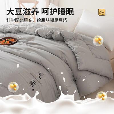 冬季纤维被子D-LQ1013被芯大加厚保暖冬被四季通被用双人春秋被单