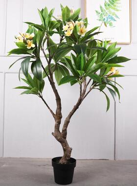 宿仿真鸡蛋花盆树大庭院造景假树装型饰民植物栽摆设摆OLF-5303件