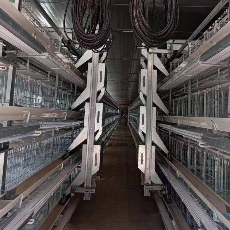 层叠式4自框XKA架全动清粪捡蛋养鸡设备型小层叠蛋鸡笼3H层/层鸡