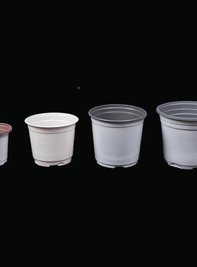 货源供盆栽双色盆料花盆PP塑白花盆01多肉育苗应简易紫色蓝色双色