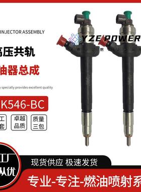 6C1Q-9K56-B0C喷油嘴总成09500-7060适用福4特全顺29K546-BC.4全