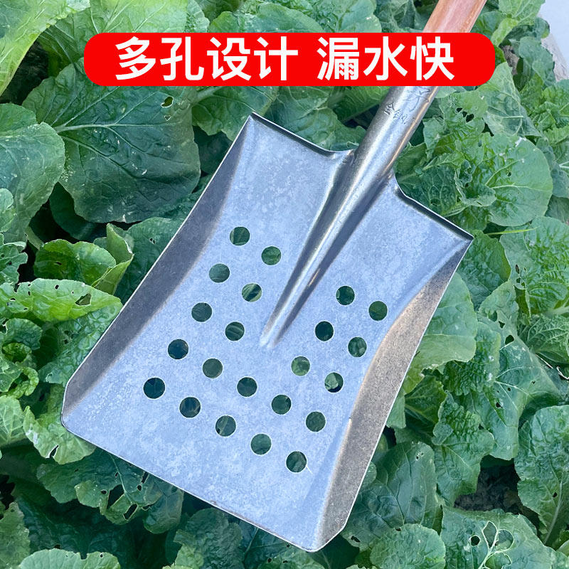 排污漏眼锹下水道清理工具清掏污水粪便弯头铲子掏粪池淤泥锹直角,鲜花速递/花卉仿真/绿植园艺,铲子,淘宝优惠券,粉丝福利购,淘宝优惠卷