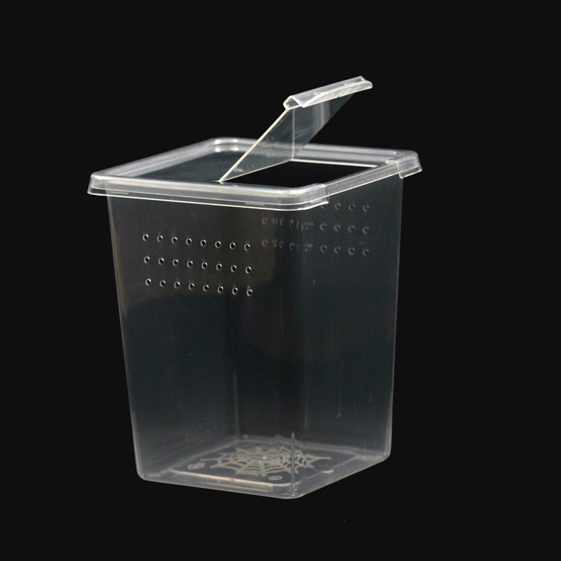 60个一箱蜘蛛饲养盒昆虫爬宠饲养盒YC树栖方盒透明饲养盒饲养箱