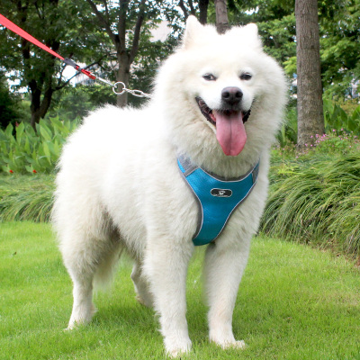 大狗狗牵引绳背心式金毛拉布拉多萨摩耶中型犬大型犬遛狗绳狗链子