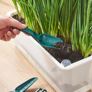 种葱阳台种菜盆蔬菜专用种植箱超窄窗沿边长方形花盆透明懒人神器