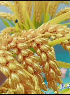 金黄色稻穗手工材料包稻谷麦穗珠子散珠配件柜台摆件一整套不含瓶