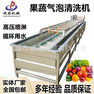 梅干菜荠菜果蔬气泡清洗机圆白菜青椒清洗设备芹菜上海青洗菜机