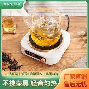 110V小型外贸电陶炉家用煮茶炉迷你不挑锅玻璃煮茶器烧水套装