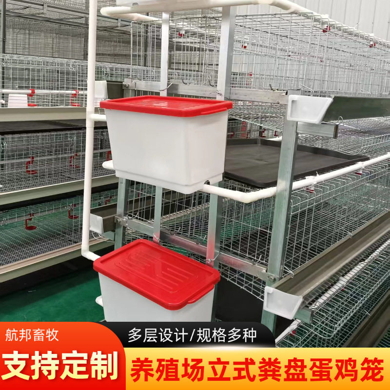 热浸锌立式粪盘蛋鸡笼三层四层自动清粪养鸡笼蛋鸡养殖鸡笼厂家