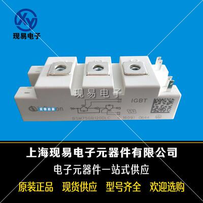 BSM150GB170DLCBSM150GB170DN2BSM200GB170DLC/170DN2功率IGBT