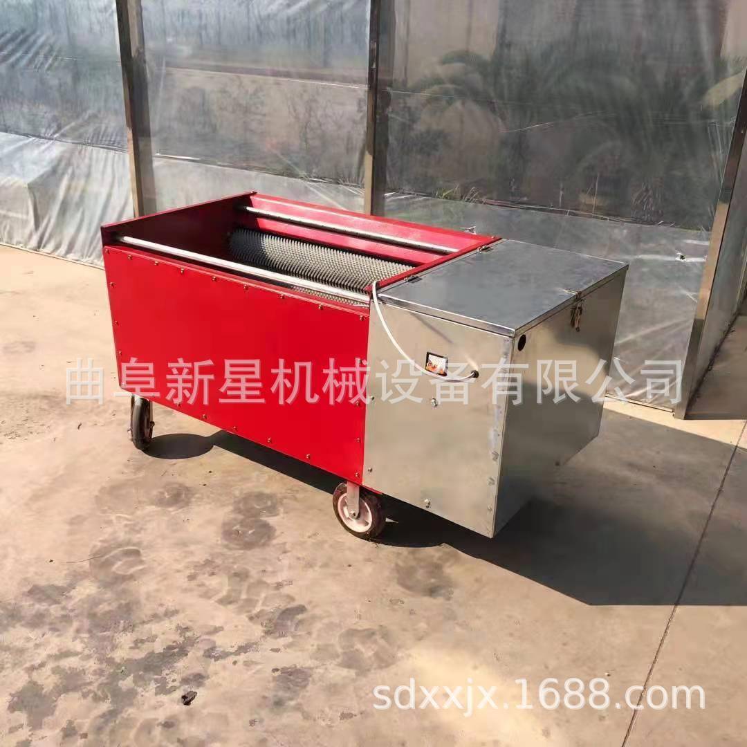 青核桃去皮机新鲜核桃去皮剥壳机毛刷辊锯齿棍去皮清洗机
