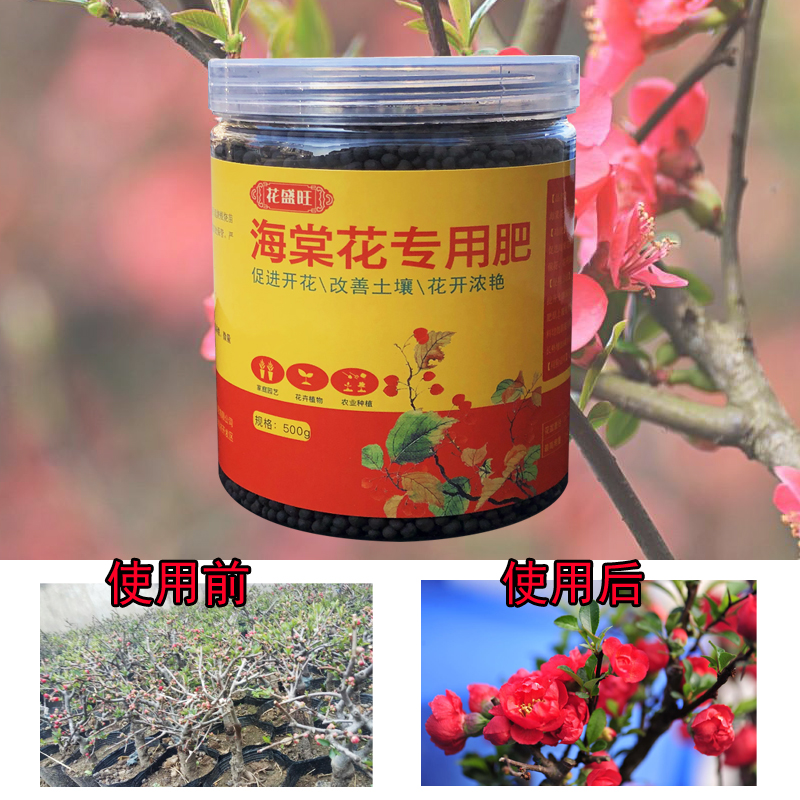 海棠花专用肥海棠花苗肥料老桩专用盆栽海棠树带花苞肥四季开花肥