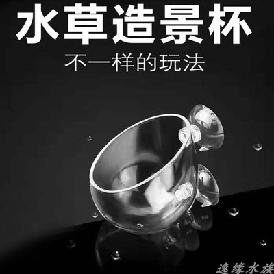 水草养育盆水草培育杯水草杯水草造景杯盆鱼缸装饰水族箱造景套餐